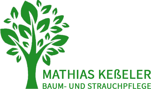 Logo mathias kesseler