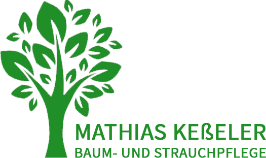 Logo mathias kesseler